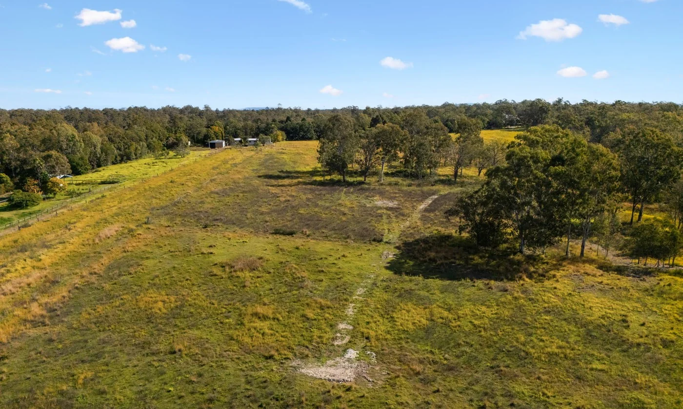 Established acreage homes among greenery